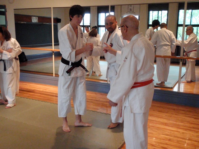 The Kata of Shorinjiryu – Nijushiho no Sai – shorinjiryu blog